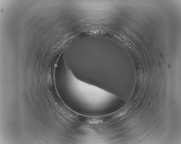 X0000059100754200510211632