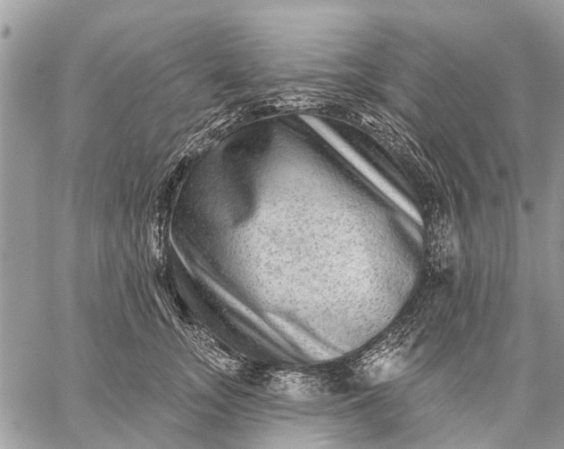 X0000059100755200510211632