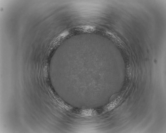 X0000059100757200510211632