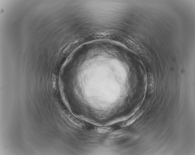 X0000059100758200510211632