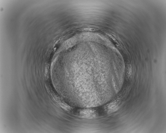 X0000059100759200510211632