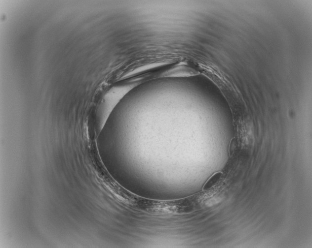 X0000059100760200510211632