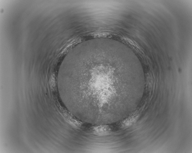 X0000059100761200510211632