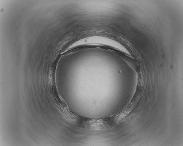 X0000059100762200510211632