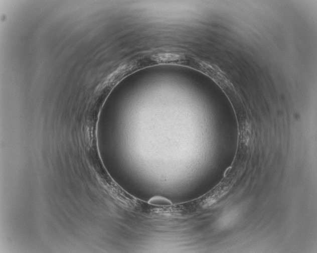 X0000059100763200510211632