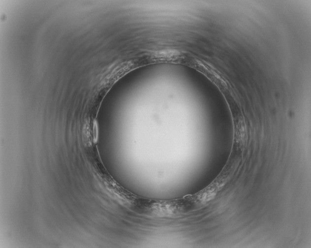 X0000059100764200510211632