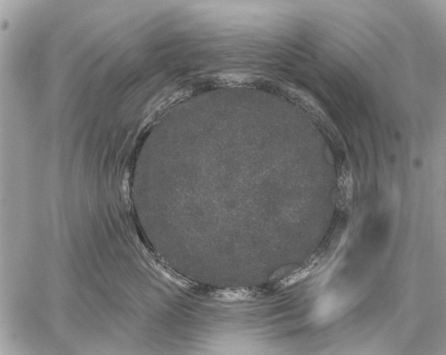 X0000059100765200510211632