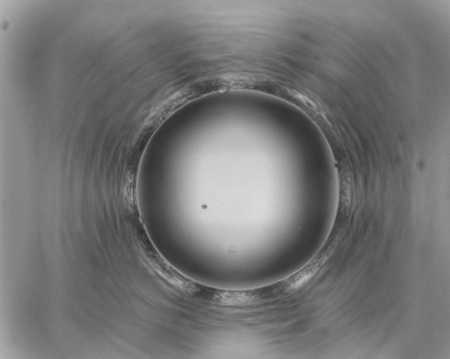 X0000059100766200510211632