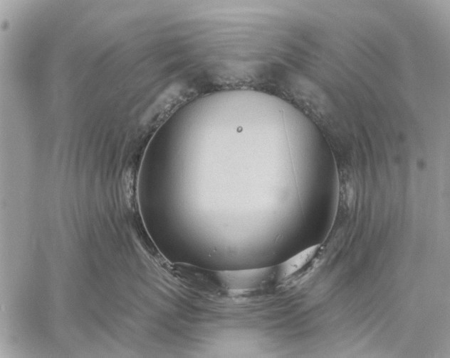 X0000059100767200510211632