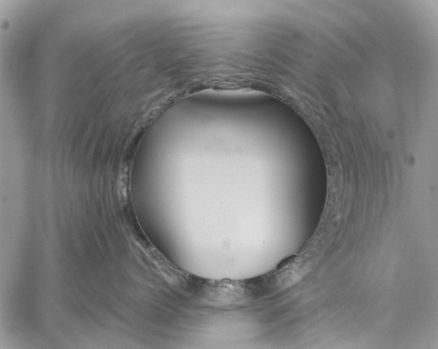 X0000059100768200510211632