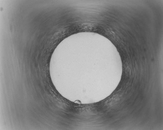 X0000059100769200510211631