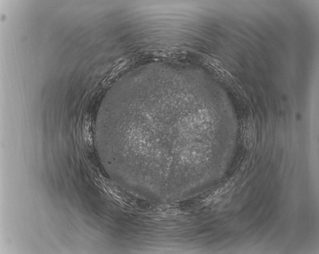 X0000059100770200510211631