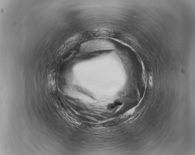 X0000059100771200510211631