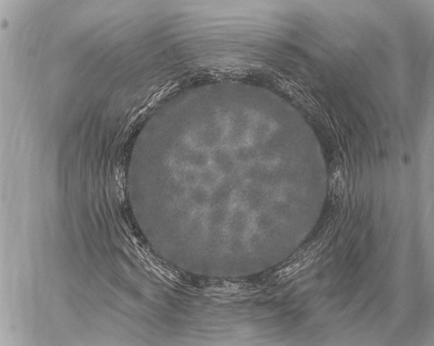 X0000059100772200510211631