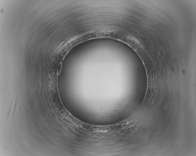 X0000059100773200510211631