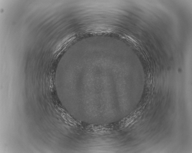 X0000059100774200510211631