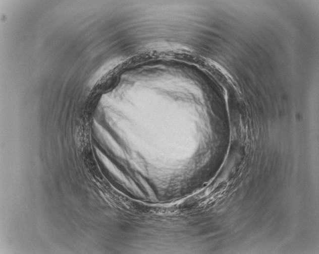 X0000059100775200510211631