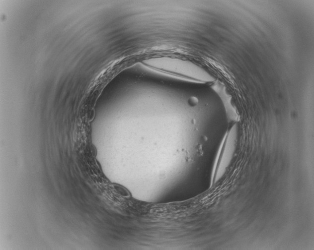 X0000059100776200510211631