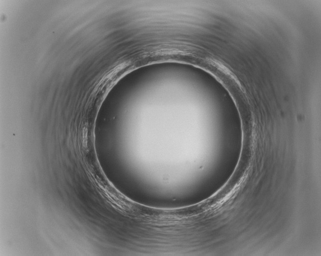 X0000059100777200510211631