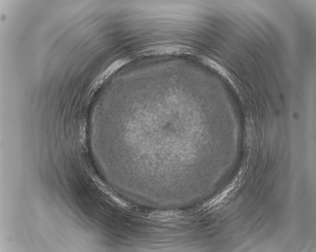 X0000059100778200510211631