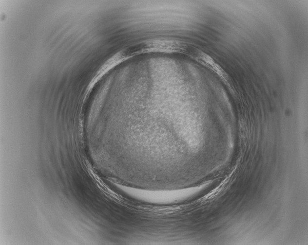 X0000059100779200510211631