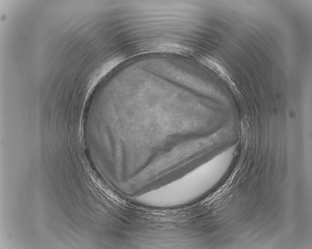 X0000059100780200510211631