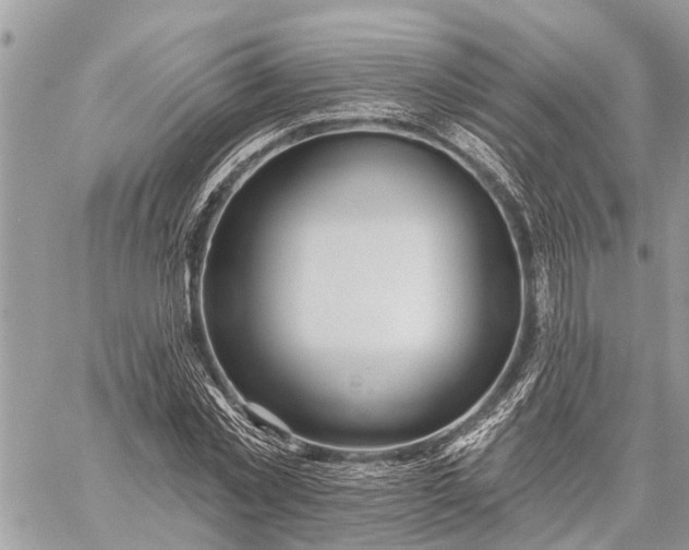 X0000059100781200510211631