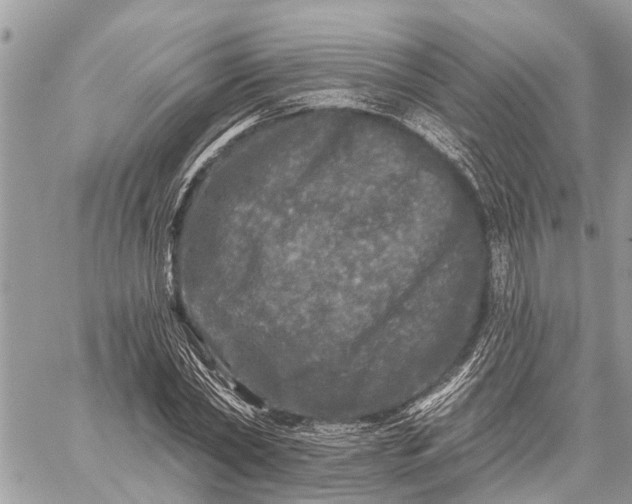 X0000059100782200510211631