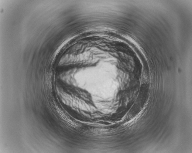 X0000059100783200510211631