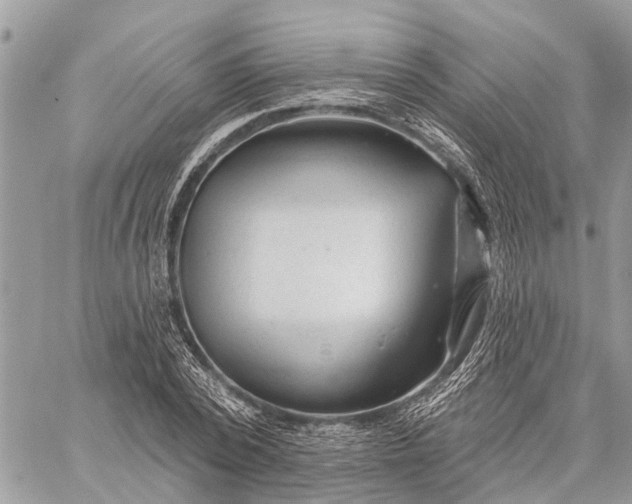 X0000059100784200510211631