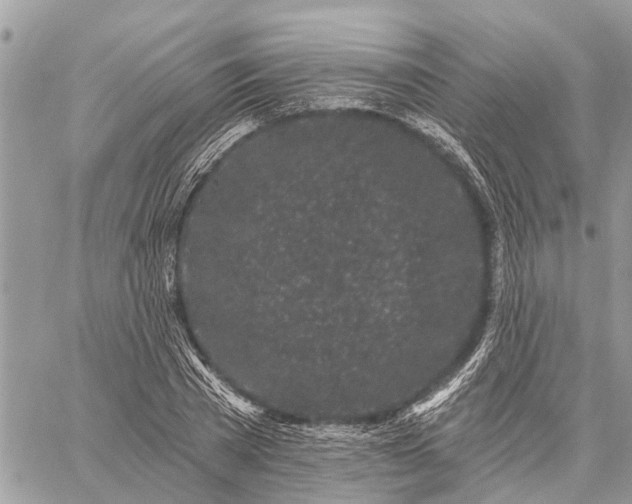 X0000059100785200510211631