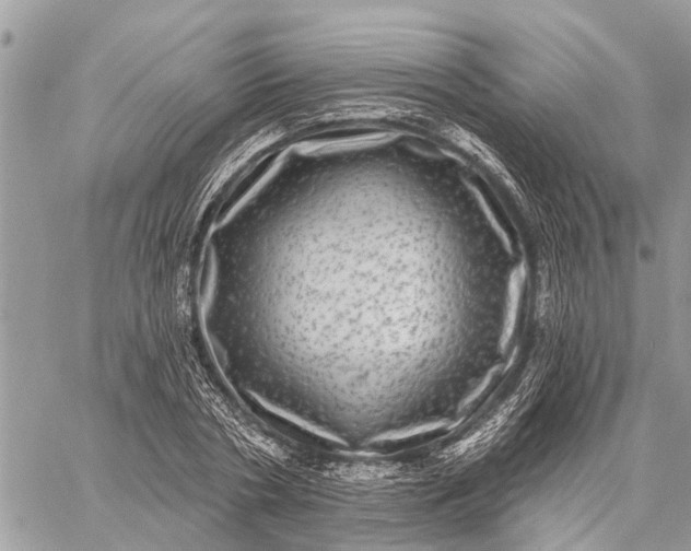 X0000059100786200510211631