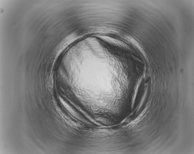 X0000059100787200510211631