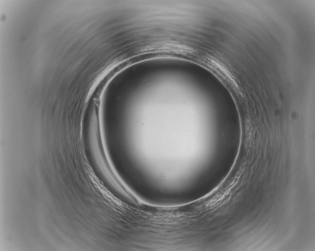 X0000059100788200510211631