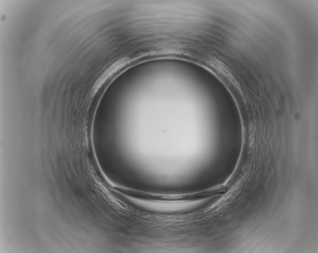 X0000059100789200510211631