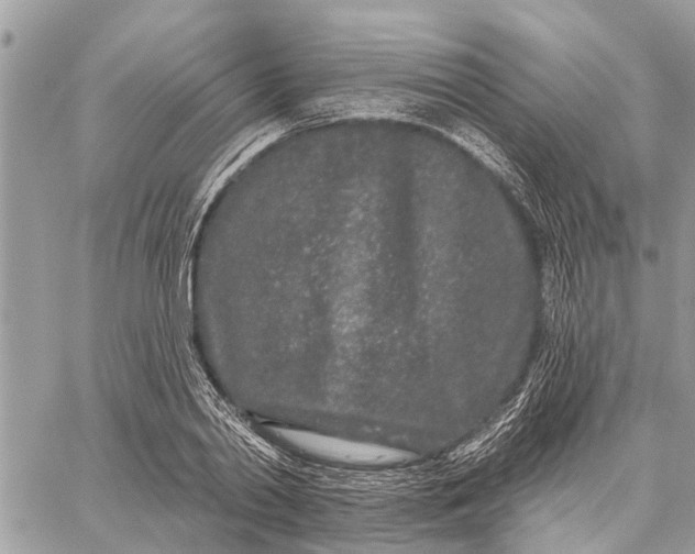 X0000059100790200510211631