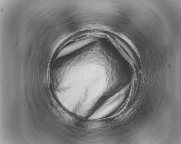 X0000059100791200510211631