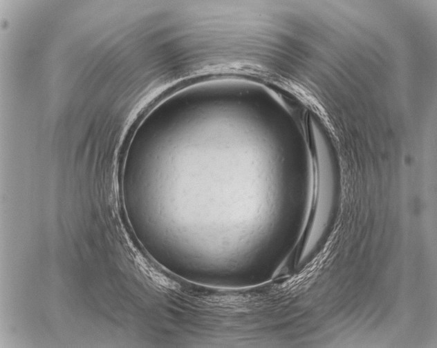 X0000059100792200510211631