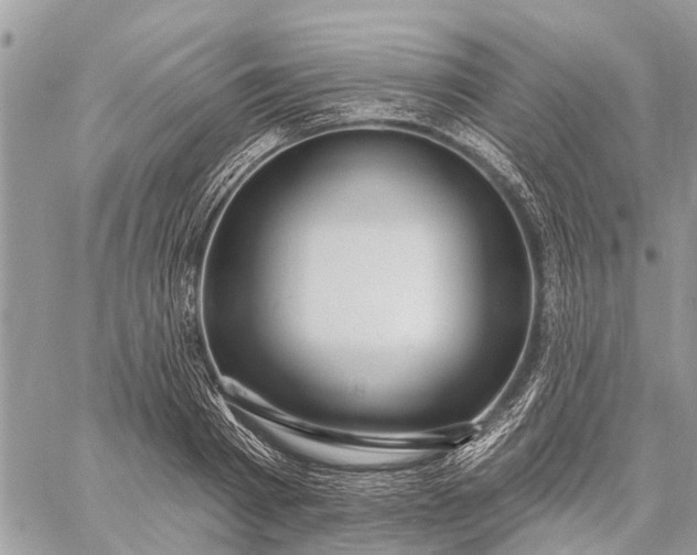 X0000059100793200510211631