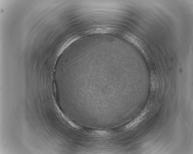 X0000059100794200510211631