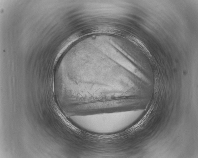 X0000059100796200510211631