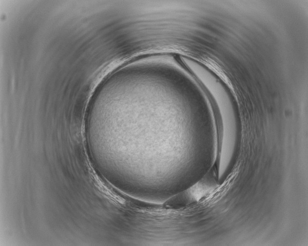 X0000059100797200510211631