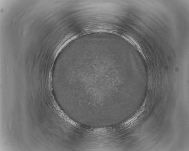 X0000059100798200510211631