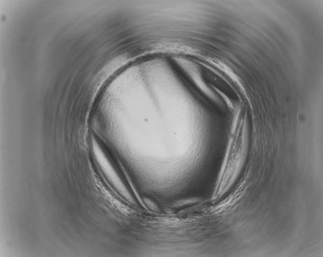 X0000059100799200510211631