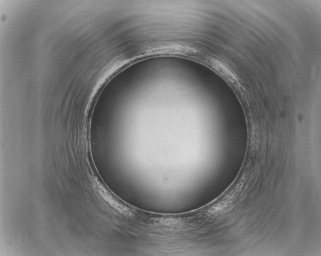 X0000059100800200510211631