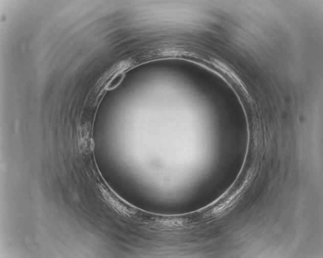 X0000059100801200510211631