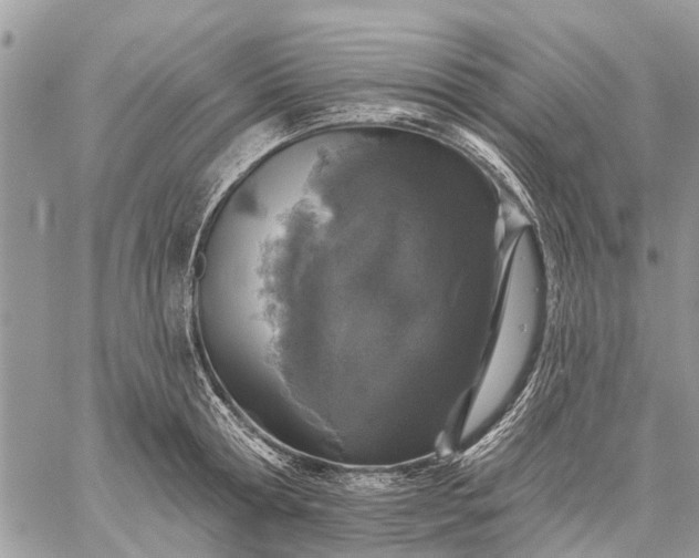 X0000059100802200510211631