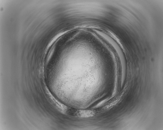 X0000059100803200510211631