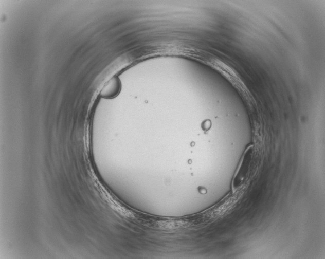 X0000059100804200510211631