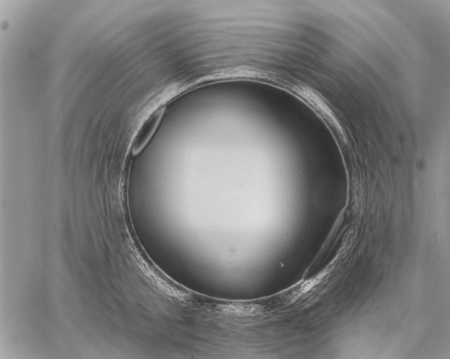 X0000059100805200510211631